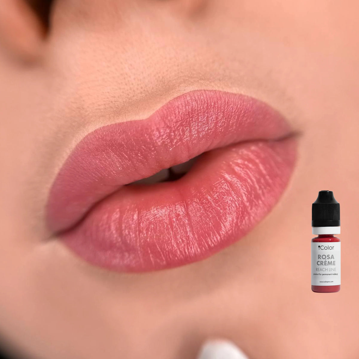 Rosa Creme