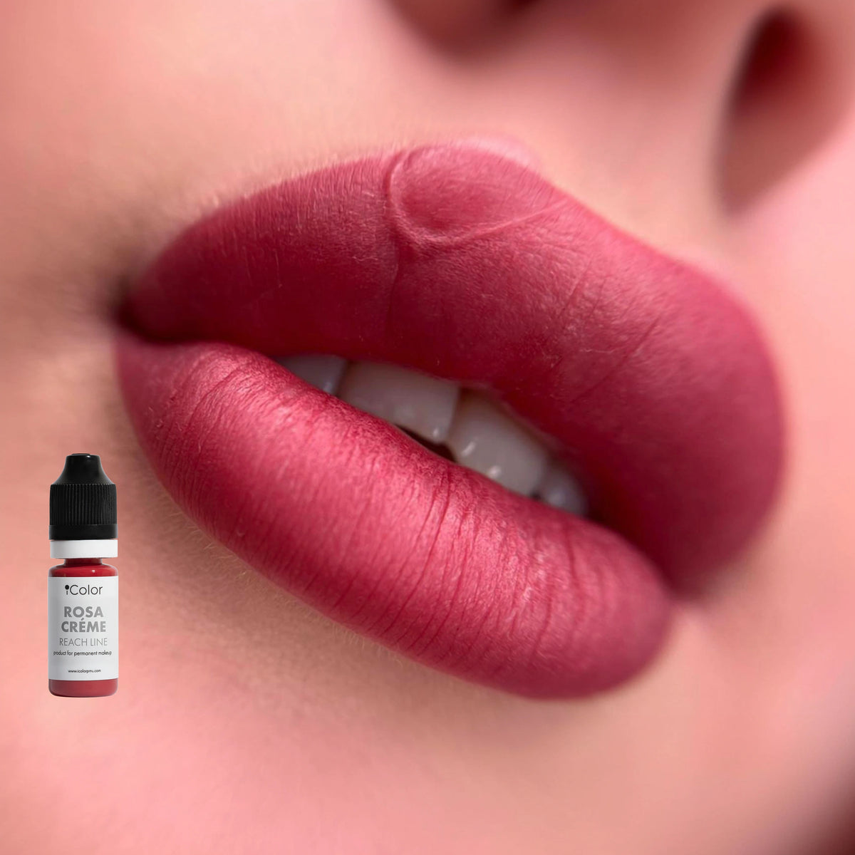 Rosa Creme