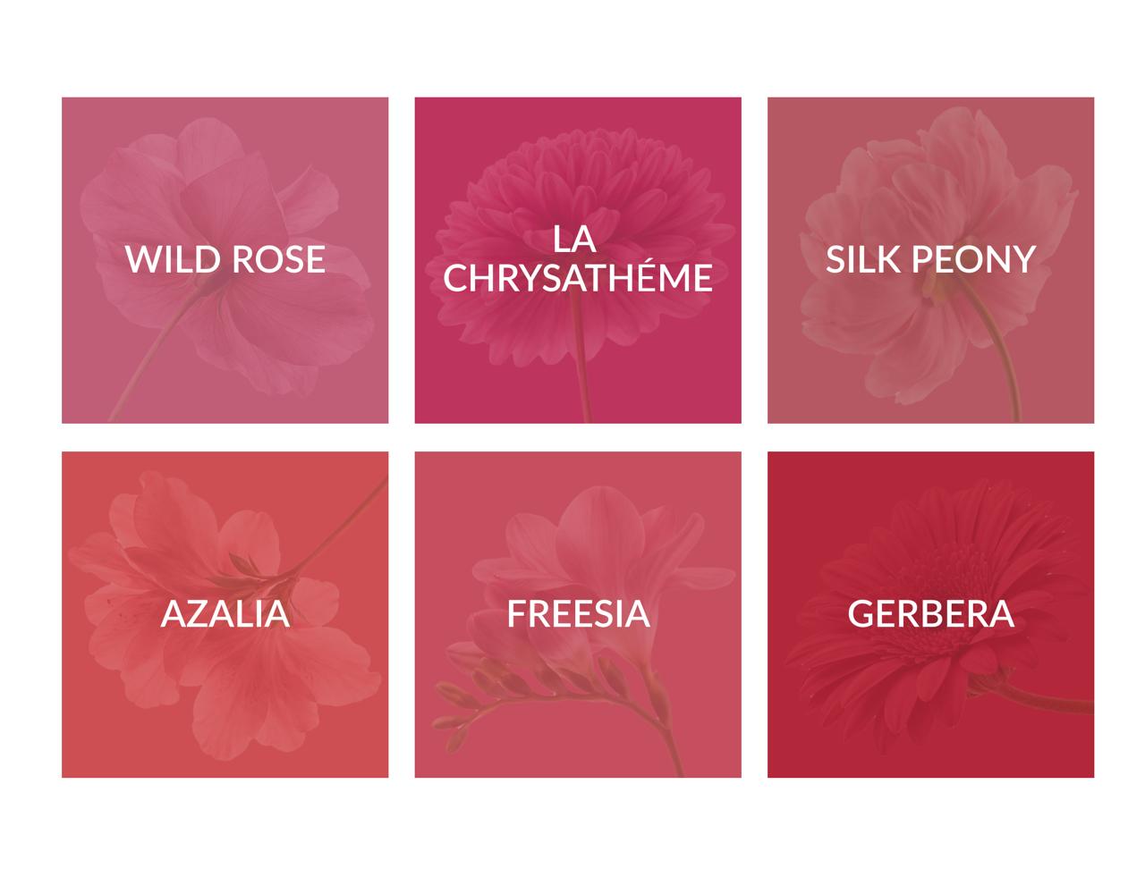 Set composition – Bronza and others