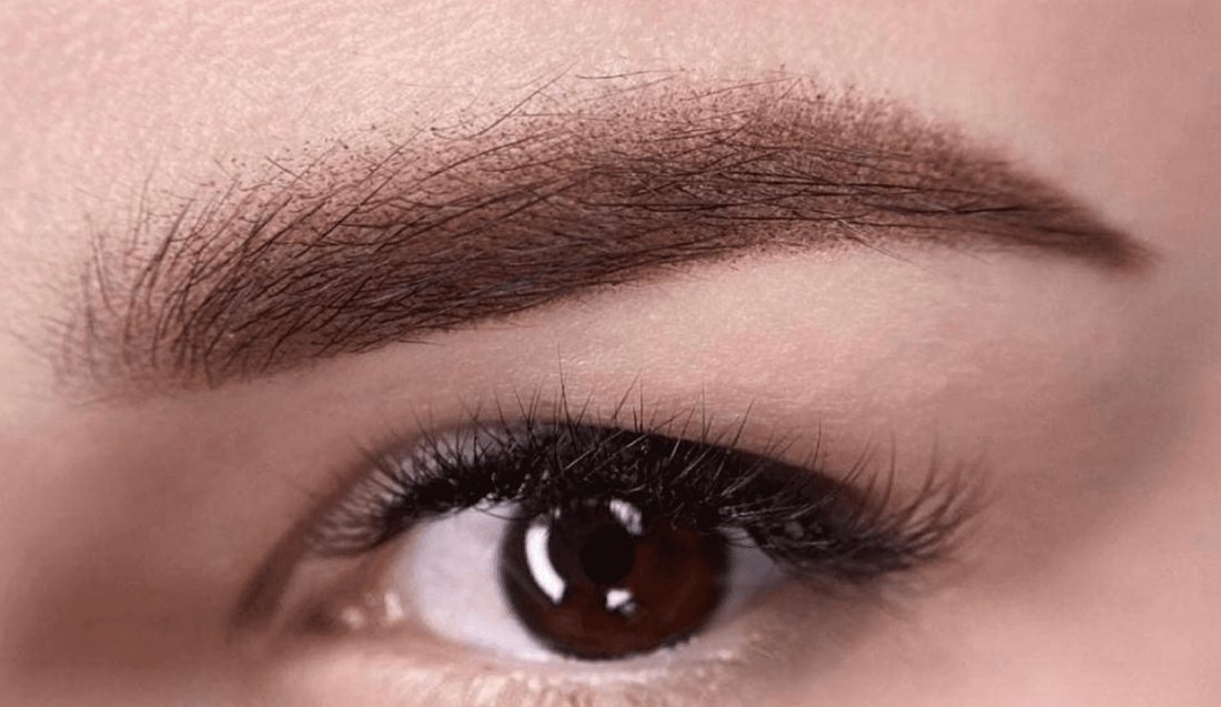 Brown eyebrows in permanent makeup