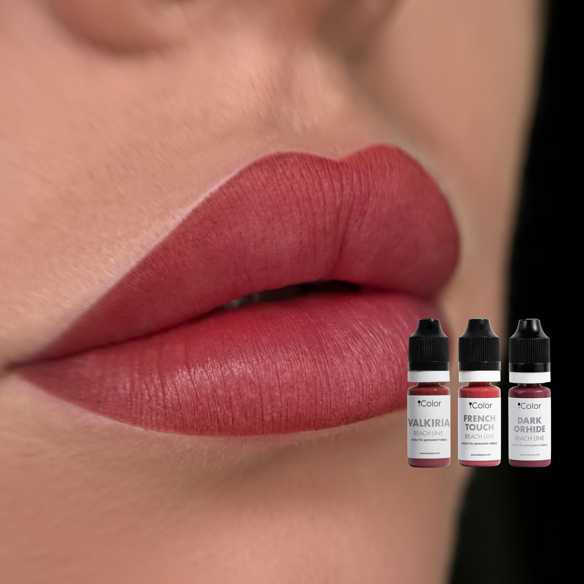 Krāsu karte – Valkiria ar Deep Red, Iconic Nude, Raspberry
