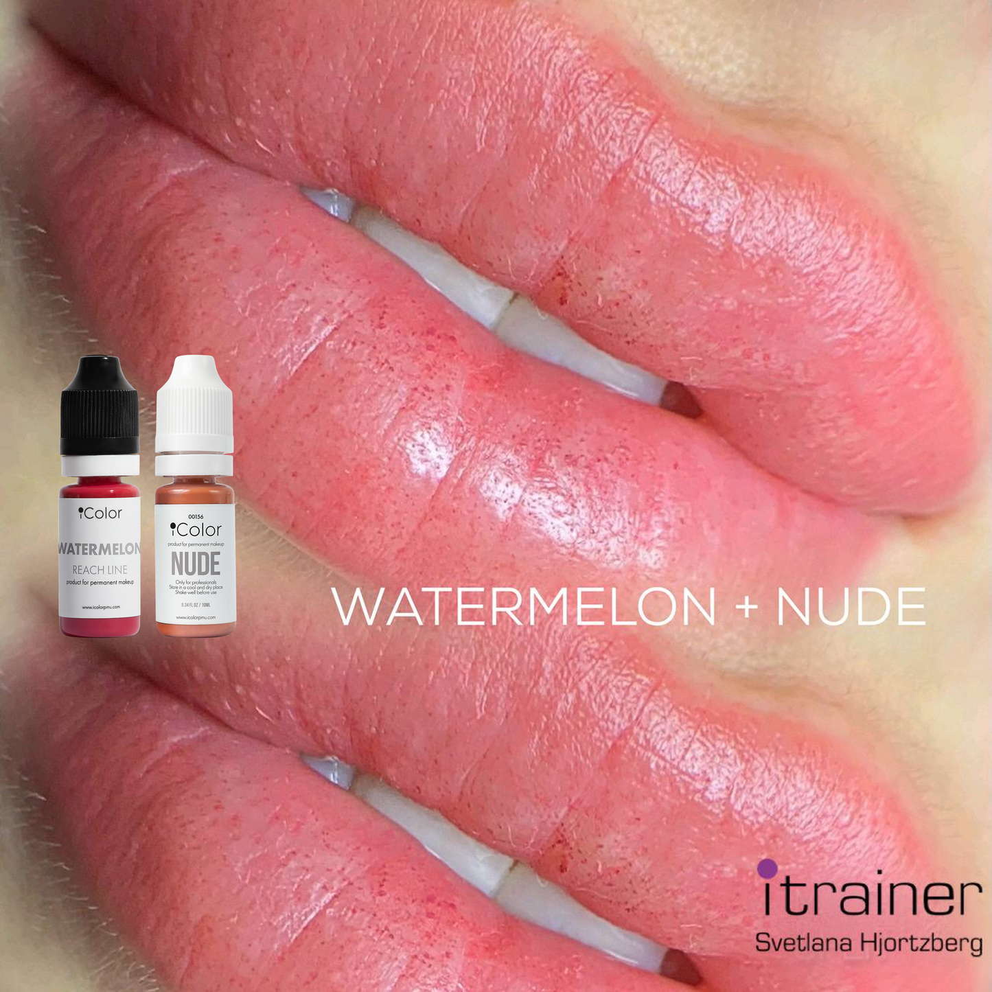 Watermelon • 10ml