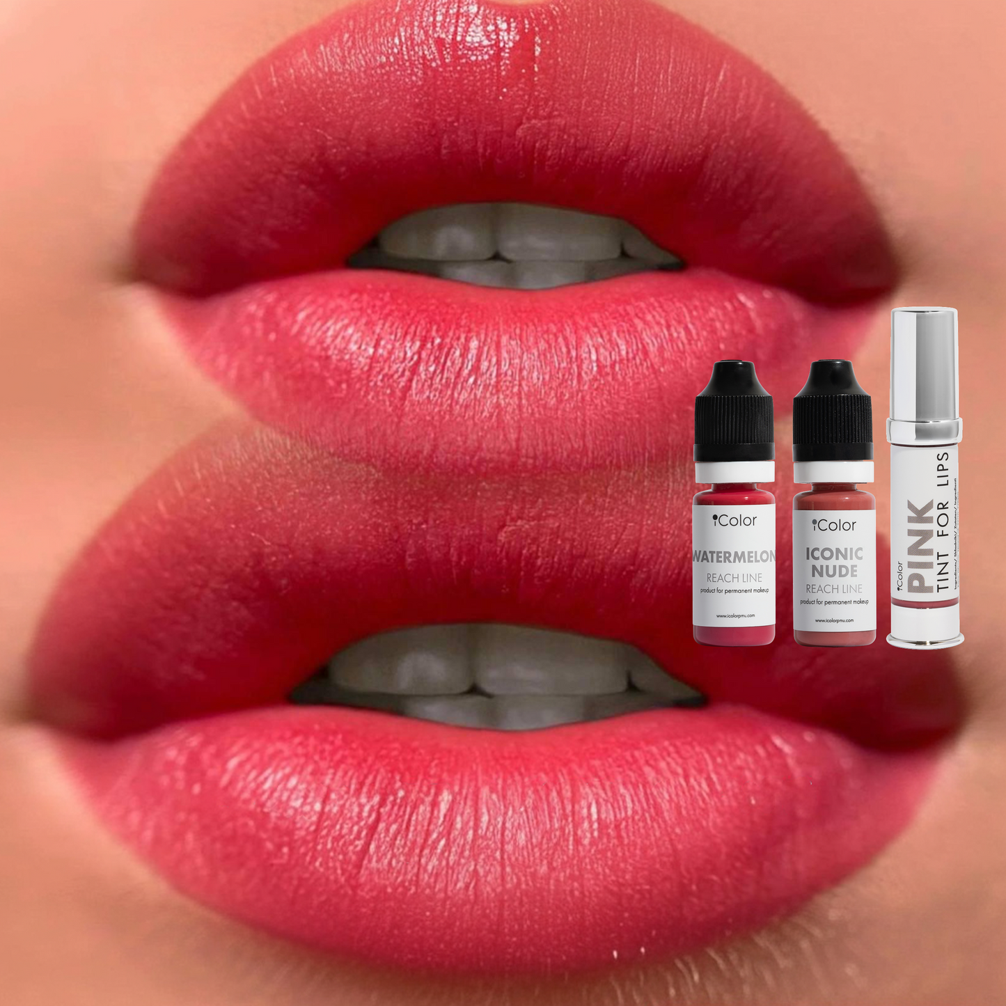 Watermelon • 10ml