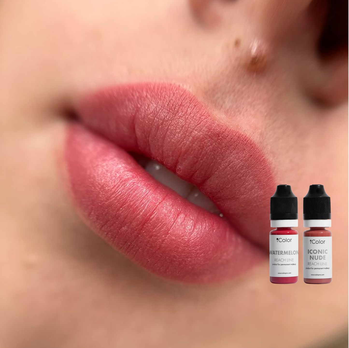 Watermelon • 10ml