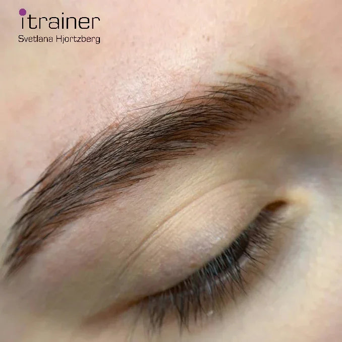 Healed result of Tint Medium Brown – natural chestnut brows