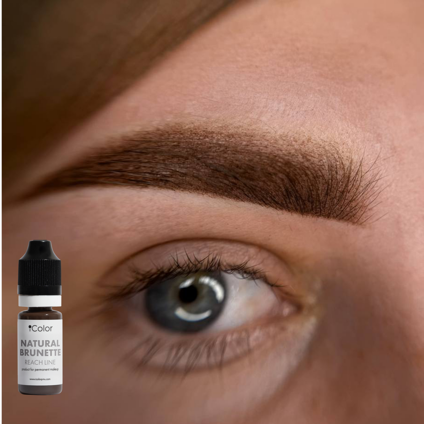 Healed result of Natural Brunette – earthy brown brows