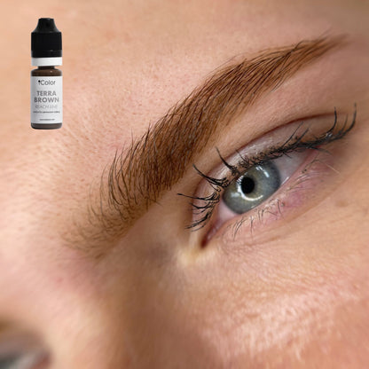 Healed result of Terra Brown – balanced brown brows